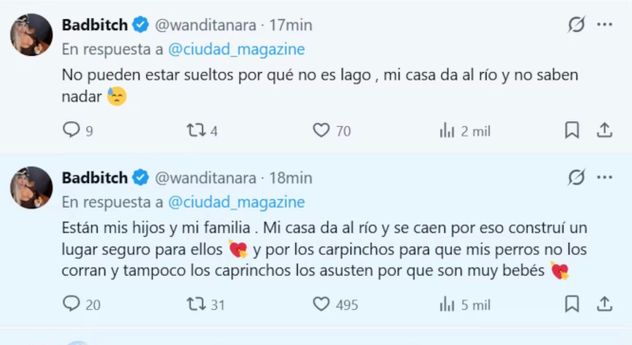 Los tuits de Wanda Nara aclarando la situación respecto a sus perros en un canil. 