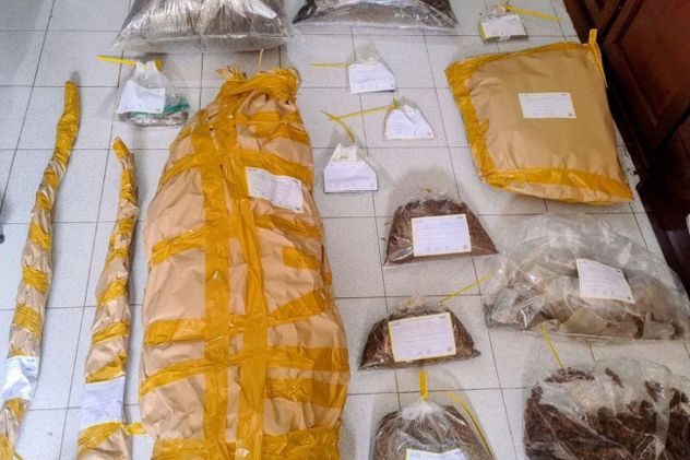 Asistían a un hombre por una crisis de salud mental y encontraron una plantación de marihuana en su casa.