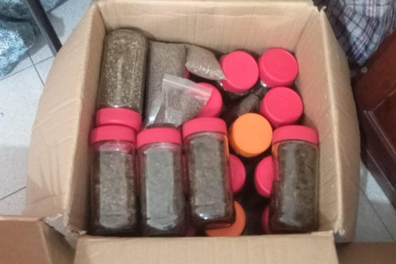 Asistían a un hombre por una crisis de salud mental y encontraron una plantación de marihuana en su casa.