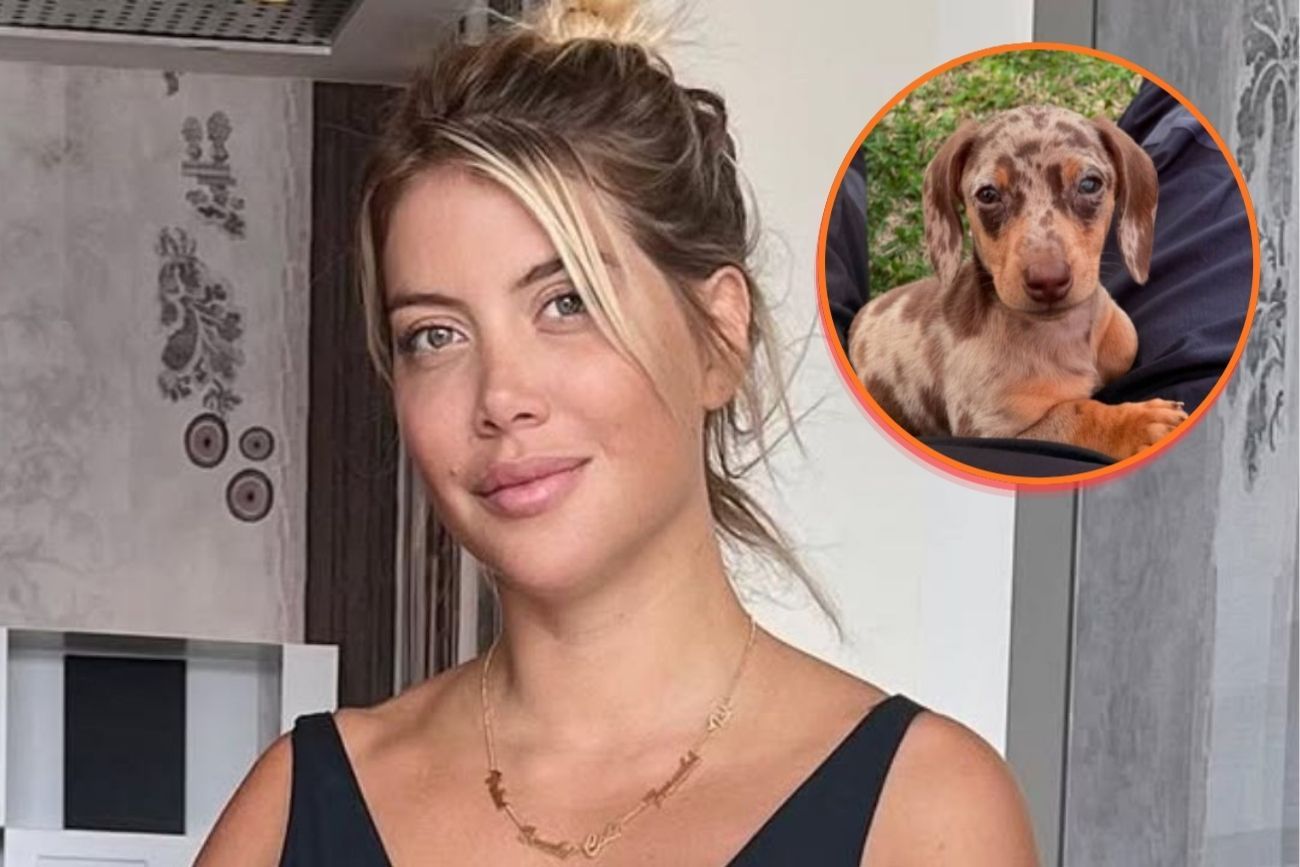 Wanda Nara explicó la situación de sus perros a través de mensajes publicados en su cuenta de X.  