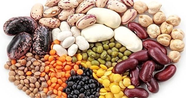 Por qué las legumbres son clave en verano para la masa muscular y la hidratación.