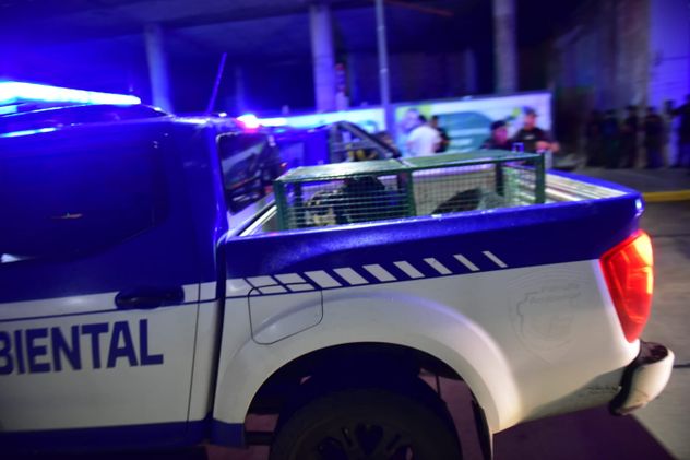 Córdoba. Realizan un operativo en el "Elefante Blanco" de bulevar San Juan.