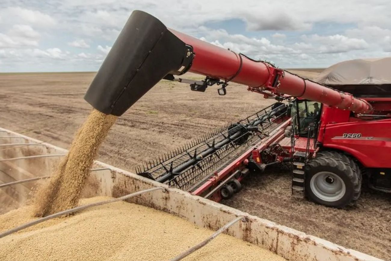 CULTIVOS. Si se cumplen las expectativas se exportará un 8% más que la campaña pasada. (LaVoz / Archivo)