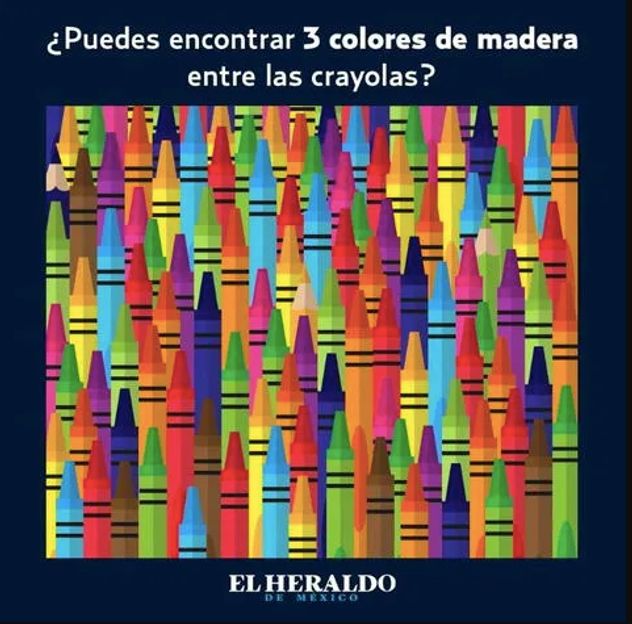 El acertijo visual.