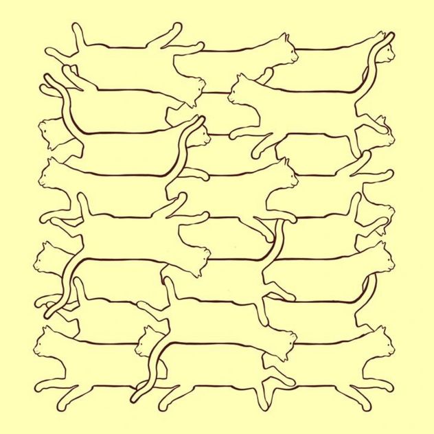 El acertijo visual.