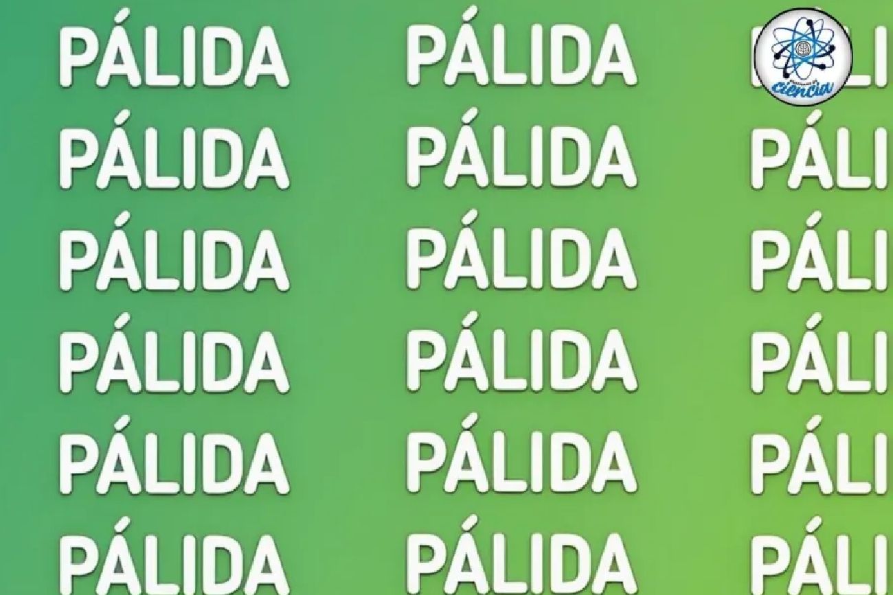 El acertijo visual.