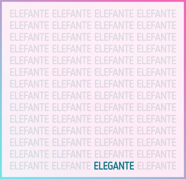 El acertijo visual.