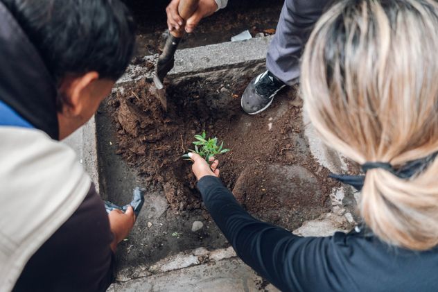 Plantación de árboles nativos en Córdoba en el marco del programa “Córdoba Respira Memoria”, una iniciativa municipal que busca homenajear a los desaparecidos de la última dictadura a 50 años del golpe cívico-militar. (Municipalidad de Córdoba)