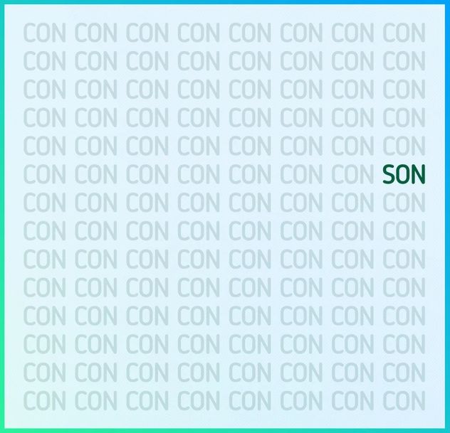 El acertijo visual.