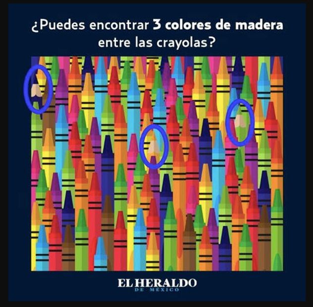 El acertijo visual.