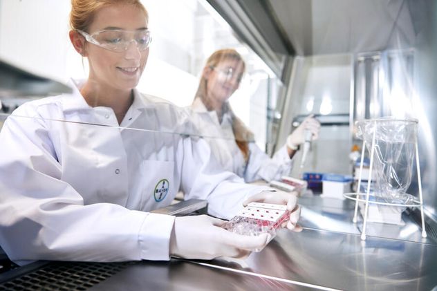 Bayer realiza investigaciones destinadas a la salud femenina entre ellas la menopausia. (Gentileza)