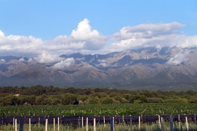 Traslasierra Wine Fest, un evento que une la mejor gastronomía cordobesa con referentes del mundo del vino, la cocina y curiosos en la materia.
