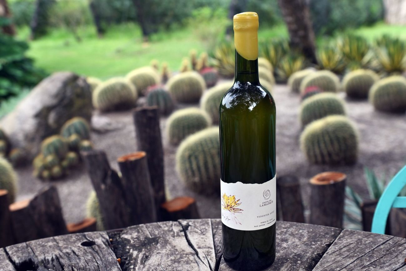 La bodega de San Javier presenta nuevas etiquetas.