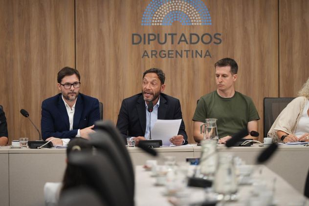 Diputados de la comisión investigadora $LIBRA anunciaron medidas