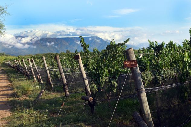 Traslasierra continúa consolidándose como uno de los territorios vitivinícolas más interesantes de la provincia de Córdoba.