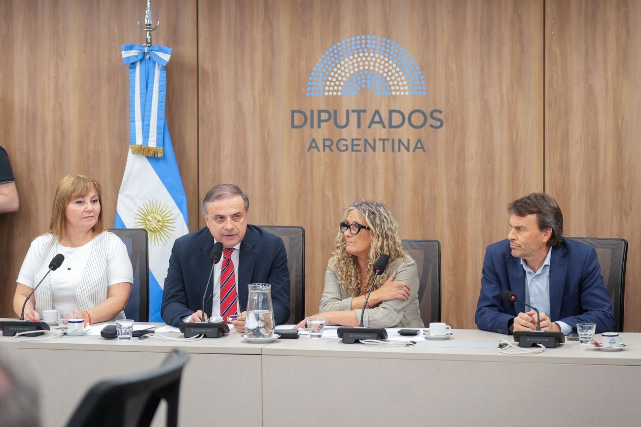 El diputado cordobés Juan Brügge (Provincias Unidas) asumió como presidente de la Comisión de Comercio (Foto: HCDN)