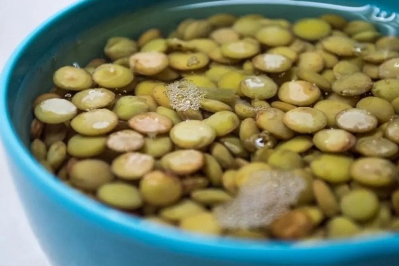 Cómo usar agua de lentejas para que tus plantas crezcan más fuertes.