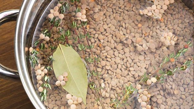 Cómo usar agua de lentejas para que tus plantas crezcan más fuertes.