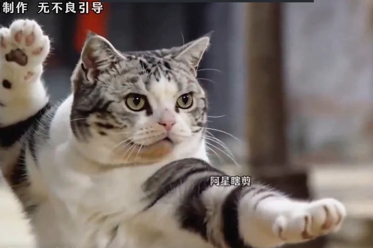 Series con animales hechos por IA: el nuevo furor que compite con las novelas turcas