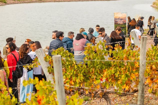 Wine Rock Sessions 2026 propone una jornada donde el vino es el protagonista, la gastronomía acompaña y la música completa una vivencia pensada para disfrutar en conexión con el paisaje y la cultura vitivinícola. 