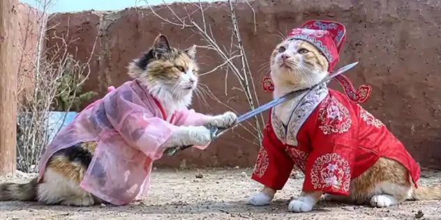 Series con animales hechos por IA: el nuevo furor que compite con las novelas turcas.