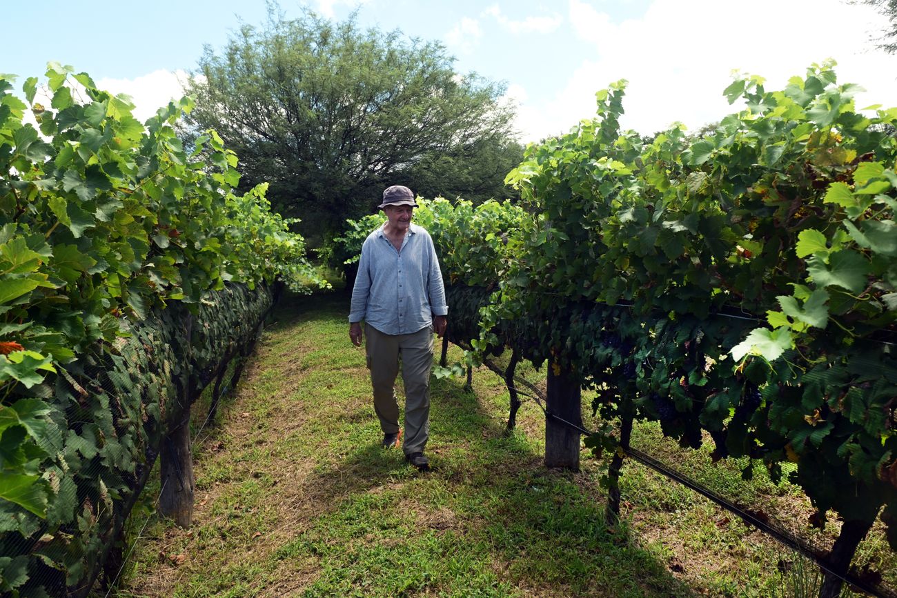 Ricardo Kirton propietario de la bodega Kirton en Luyaba en el Valle de Traslasierra (Javier Ferreyra / La Voz)
