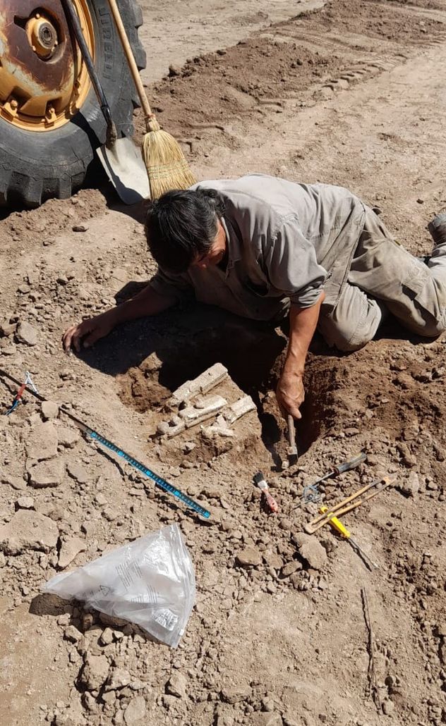 El hallazgo de restos fósiles de un megaterio en Calamuchita. Ya fueron returados y resguardados.  