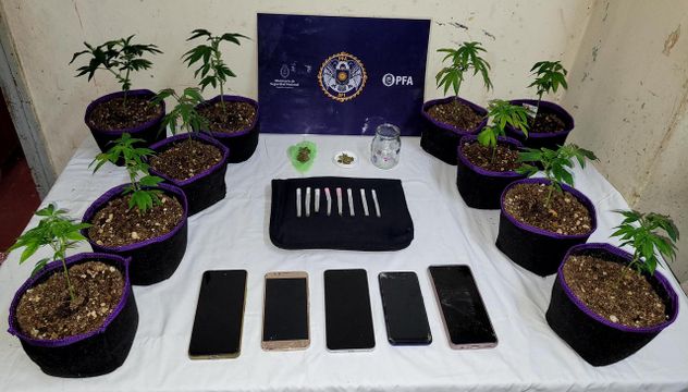 Allanamientos con secuestro de drogas y cráneos humanos. (PFA)