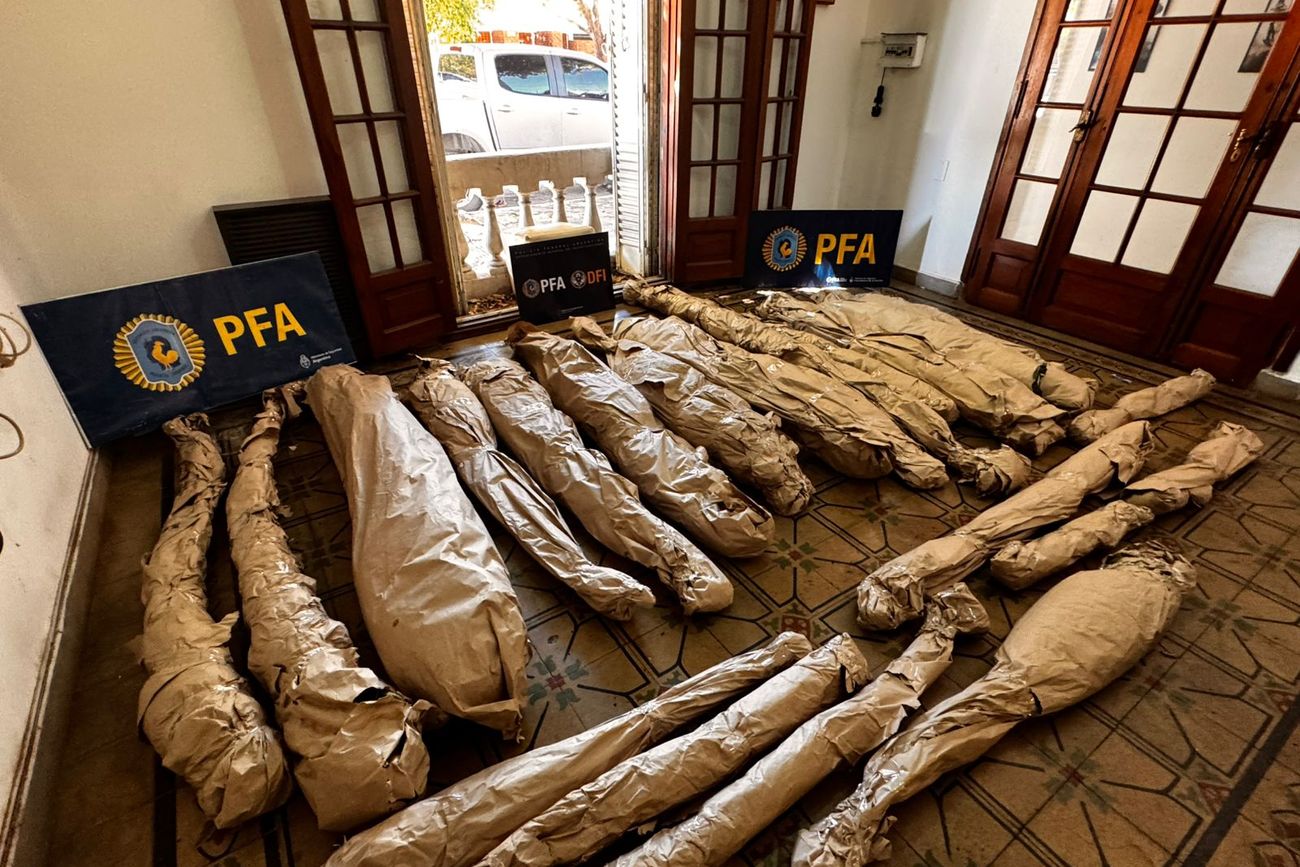Allanamientos con secuestro de drogas y cráneos humanos. (PFA)