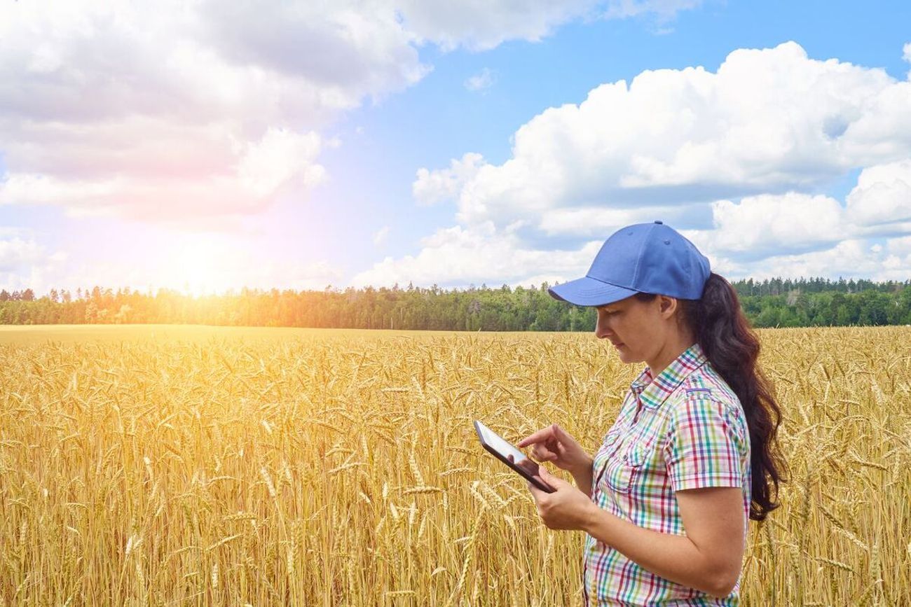 Agricultura regenerativa, una opción que crece en Córdoba. (La Voz/Archivo) 