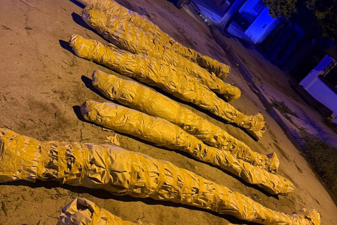 Operativo en barrio 1° de Mayo: un detenido y más de 60 plantas de cannabis incautadas.