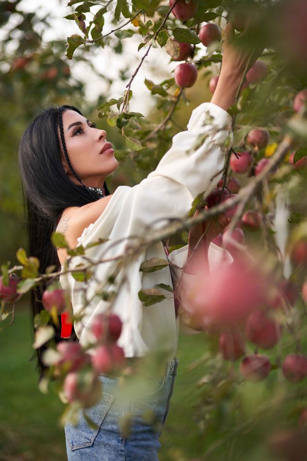 Los beneficios de la manzana para la salud. 
