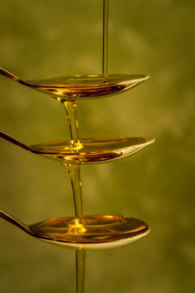 En época de los romanos, el aceite de oliva virgen ya era tan apreciado que se exigía a las poblaciones conquistadas el pago de tributos con este producto.