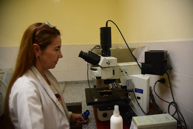 María Angelica Rivarola: “A las universidades les quitaron la fuerza del pensamiento crítico que tenían través de la investigación”.