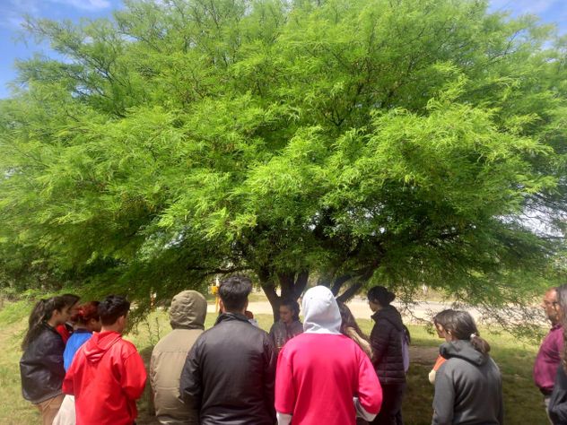 Diferentes actores forman parte de una cadena consciente que trabaja con la algarroba.