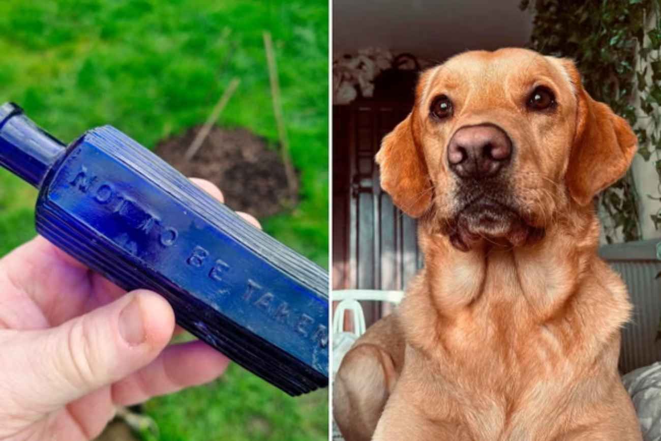 Un perro desentierra una posible conexión con un notorio caso de asesinato del siglo XIX en Devon. 