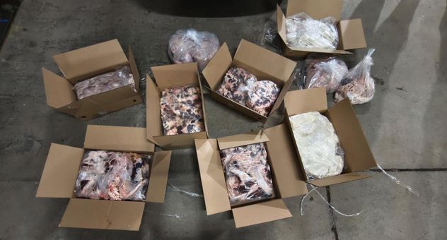 Secuestro de carne. (Policía)