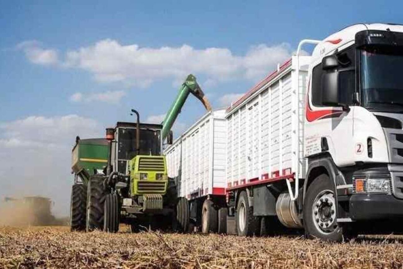 Cosecha y dólares pueden marcar el inicio de la recuperación económica
