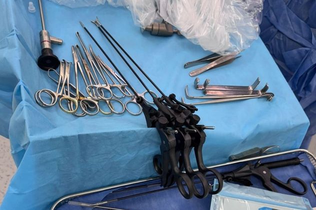 "La piloromiotomía" es una intervención que permite corregir una obstrucción gástrica, y una exploración para una evaluación por sospecha de oclusión intestinal. (Gentileza)