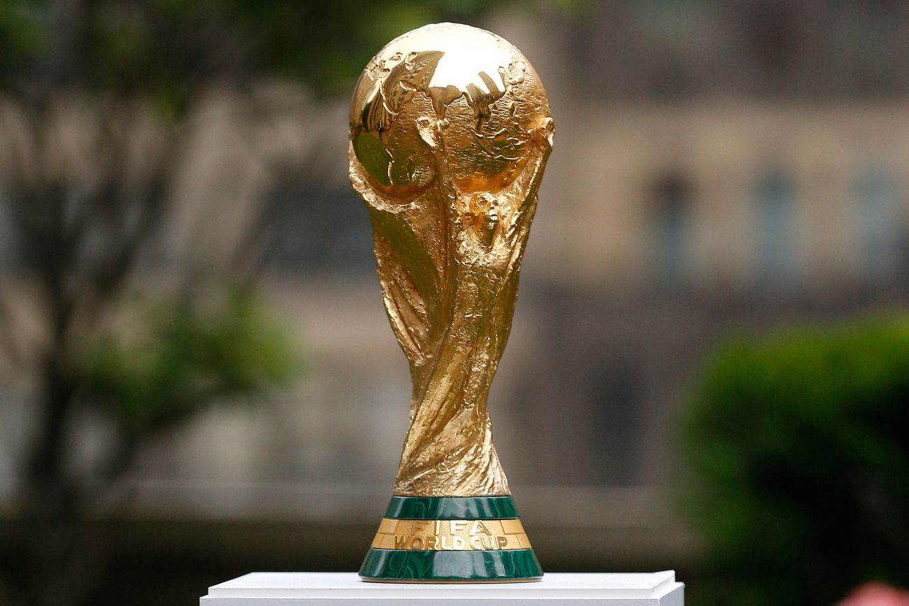 La copa de la Fifa. 