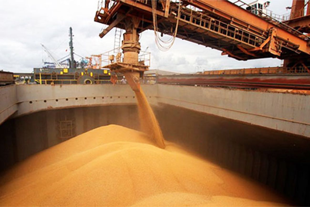 EN ALZA. Las exportaciones bimestrales -enero y febrero- dejaron un total acumulado de U$S 7.463, un 7% más que en el ciclo anterior. 