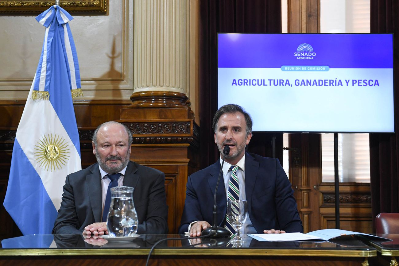 DECLARACIONES. Joaquín Benegas Lynch: "siete de cada 10 dólares que exportamos vienen del campo; generamos 1,3 millones de empleos directos y 3 millones indirectos". 