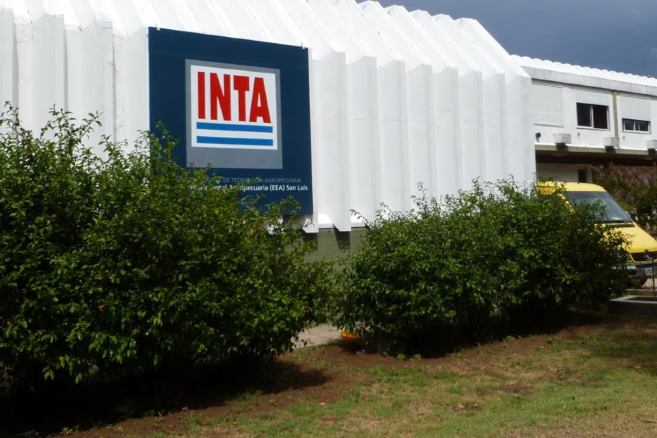 El Gobierno prorrogó los retiros voluntarios en el Inta: busca llegar a 1.200 desvinculaciones