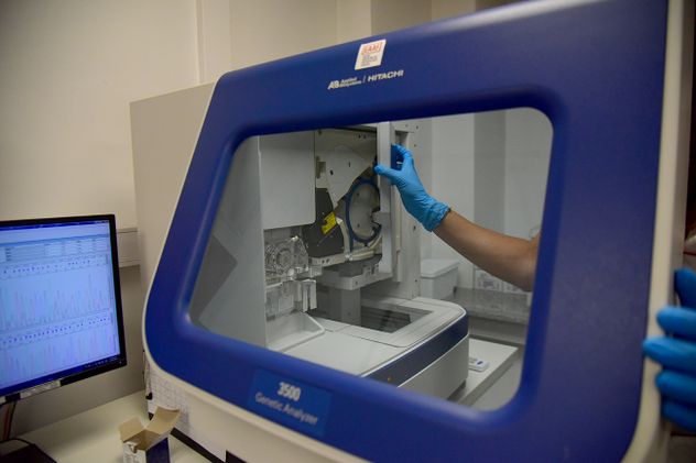 Laboratorio de Genética de la EAAF.