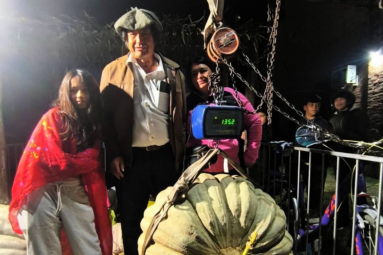 Productor cosechó un zapallo de 135 kilos.