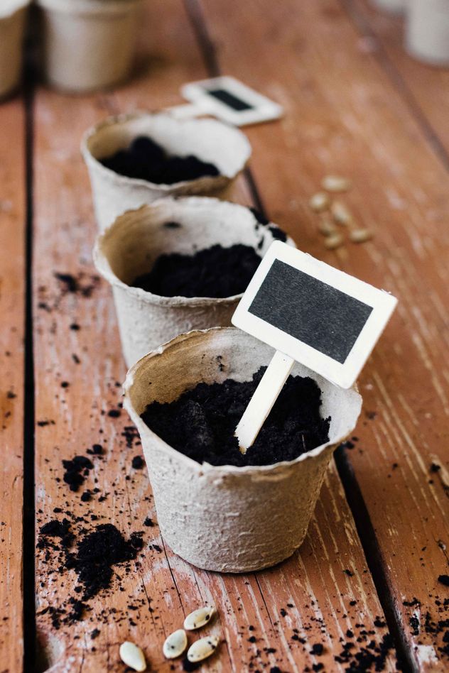 Si tenés un rollo de papel higiénico, tenés un tesoro en casa. Así podés aprovecharlo en jardinería. 