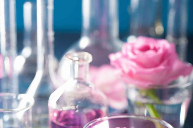 Investigan el potencial de los pétalos de rosa ante el cáncer de mama triple negativo.