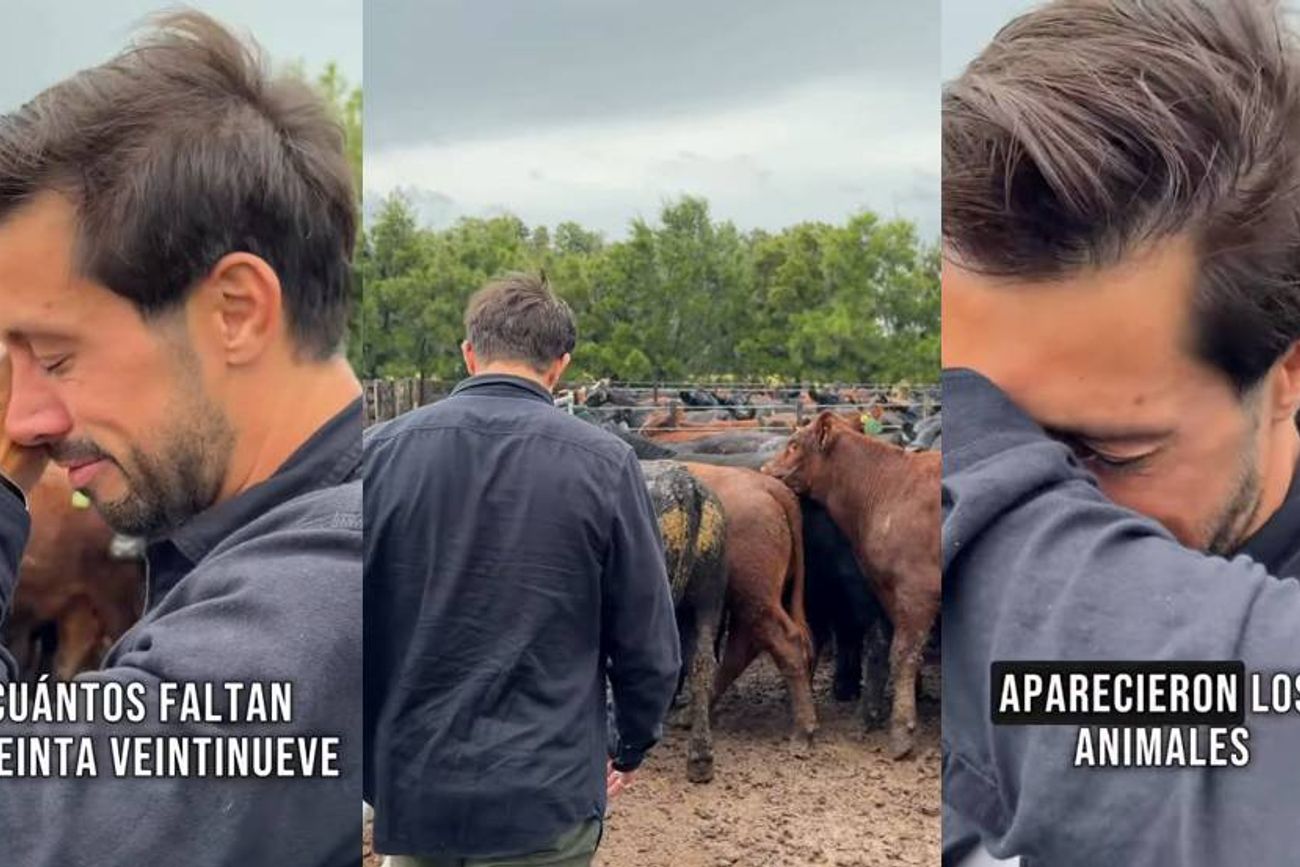 Lajoya.agro denunció el robo de sus animales.