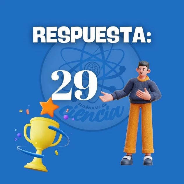 El acertijo visual.