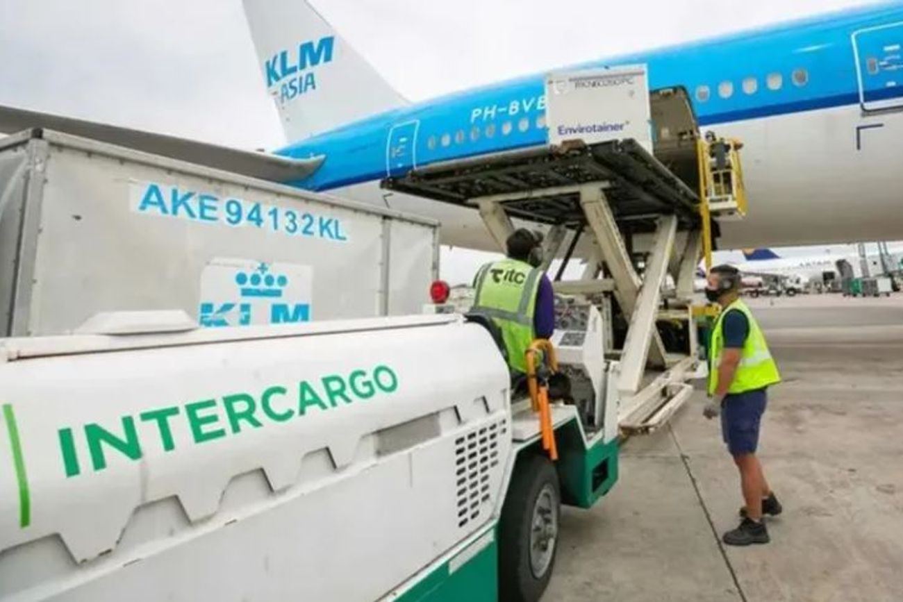 Intercargo será privatizada bajo la modalidad de empresa en marcha, explicó Caputo. 